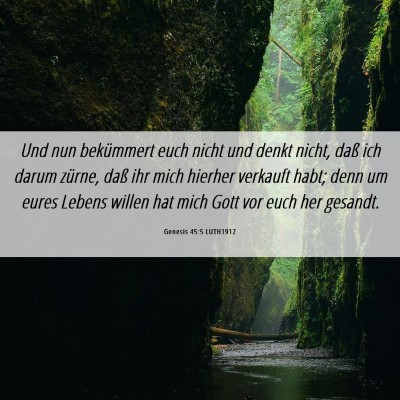 Picture 06 - Genesis 45:5 LUTH1912 - Und nun bekümmert euch nicht und denkt nicht, - Bible Verse Picture