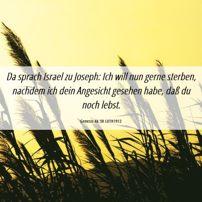Picture 06 - Genesis 46:30 LUTH1912 - Da sprach Israel zu Joseph: Ich will nun gerne - Bible Verse Picture
