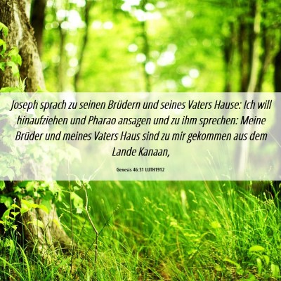 Picture 06 - Genesis 46:31 LUTH1912 - Joseph sprach zu seinen Brüdern und seines - Bible Verse Picture