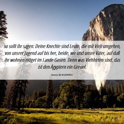 Picture 06 - Genesis 46:34 LUTH1912 - so sollt ihr sagen: Deine Knechte sind Leute, die - Bible Verse Picture
