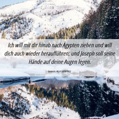 Picture 06 - Genesis 46:4 LUTH1912 - Ich will mit dir hinab nach Ägypten ziehen und - Bible Verse Picture