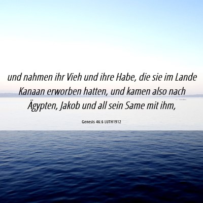 Picture 06 - Genesis 46:6 LUTH1912 - und nahmen ihr Vieh und ihre Habe, die sie im - Bible Verse Picture