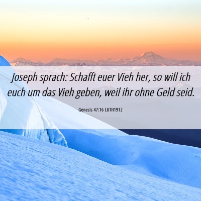 Picture 06 - Genesis 47:16 LUTH1912 - Joseph sprach: Schafft euer Vieh her, so will ich - Bible Verse Picture