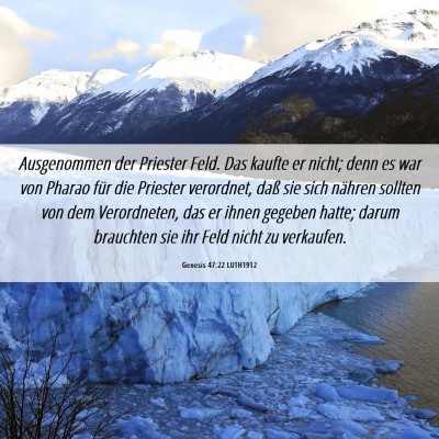 Picture 06 - Genesis 47:22 LUTH1912 - Ausgenommen der Priester Feld. Das kaufte er - Bible Verse Picture