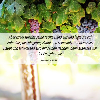 Picture 06 - Genesis 48:14 LUTH1912 - Aber Israel streckte seine rechte Hand aus und - Bible Verse Picture
