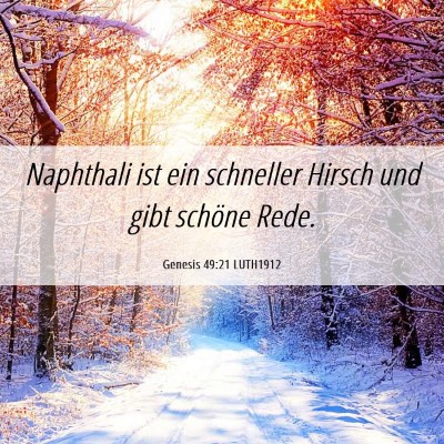 Picture 06 - Genesis 49:21 LUTH1912 - Naphthali ist ein schneller Hirsch und gibt - Bible Verse Picture