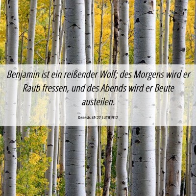 Picture 06 - Genesis 49:27 LUTH1912 - Benjamin ist ein reißender Wolf; des Morgens - Bible Verse Picture