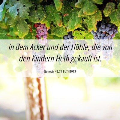 Picture 06 - Genesis 49:32 LUTH1912 - in dem Acker und der Höhle, die von den Kindern - Bible Verse Picture