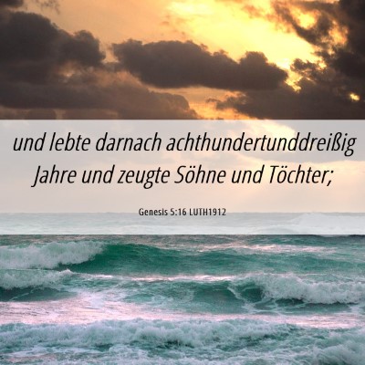 Picture 06 - Genesis 5:16 LUTH1912 - und lebte darnach achthundertunddreißig Jahre - Bible Verse Picture