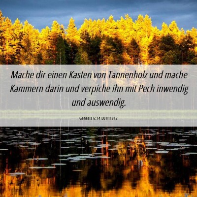 Picture 06 - Genesis 6:14 LUTH1912 - Mache dir einen Kasten von Tannenholz und mache - Bible Verse Picture