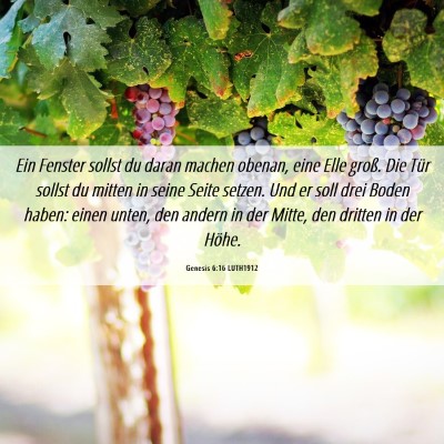 Picture 06 - Genesis 6:16 LUTH1912 - Ein Fenster sollst du daran machen obenan, eine - Bible Verse Picture