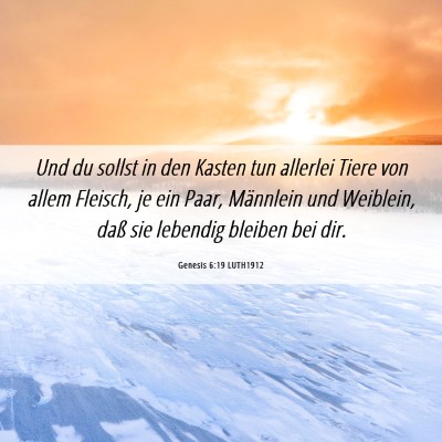 Picture 06 - Genesis 6:19 LUTH1912 - Und du sollst in den Kasten tun allerlei Tiere - Bible Verse Picture