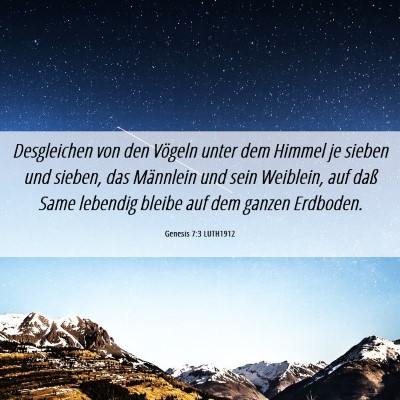 Picture 06 - Genesis 7:3 LUTH1912 - Desgleichen von den Vögeln unter dem Himmel je - Bible Verse Picture