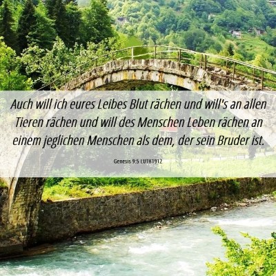 Picture 06 - Genesis 9:5 LUTH1912 - Auch will ich eures Leibes Blut rächen und - Bible Verse Picture