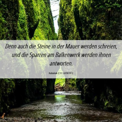Picture 06 - Habakuk 2:11 LUTH1912 - Denn auch die Steine in der Mauer werden - Bible Verse Picture
