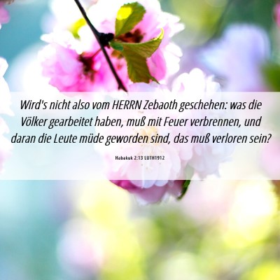 Picture 06 - Habakuk 2:13 LUTH1912 - Wird's nicht also vom HERRN Zebaoth geschehen: - Bible Verse Picture