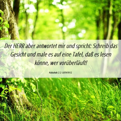 Picture 06 - Habakuk 2:2 LUTH1912 - Der HERR aber antwortet mir und spricht: Schreib - Bible Verse Picture