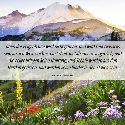 Picture 06 - Habakuk 3:17 LUTH1912 - Denn der Feigenbaum wird nicht grünen, und wird - Bible Verse Picture