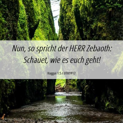 Picture 06 - Haggai 1:5 LUTH1912 - Nun, so spricht der HERR Zebaoth: Schauet, wie es - Bible Verse Picture