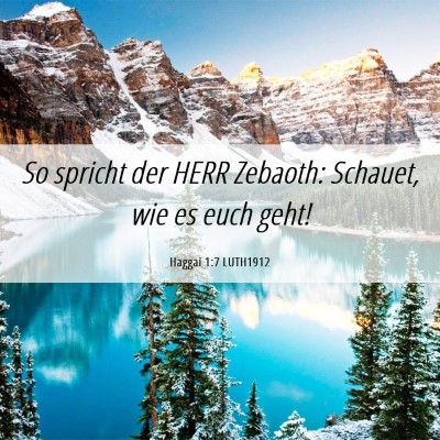 Picture 06 - Haggai 1:7 LUTH1912 - So spricht der HERR Zebaoth: Schauet, wie es euch - Bible Verse Picture