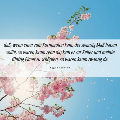 Picture 06 - Haggai 2:16 LUTH1912 - daß, wenn einer zum Kornhaufen kam, der zwanzig - Bible Verse Picture