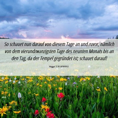 Picture 06 - Haggai 2:18 LUTH1912 - So schauet nun darauf von diesem Tage an und - Bible Verse Picture