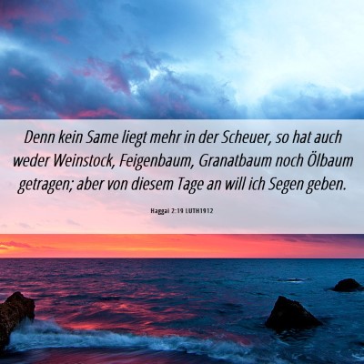 Picture 06 - Haggai 2:19 LUTH1912 - Denn kein Same liegt mehr in der Scheuer, so hat - Bible Verse Picture