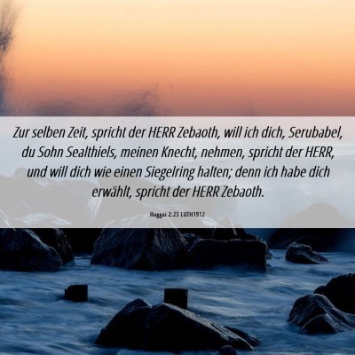 Picture 06 - Haggai 2:23 LUTH1912 - Zur selben Zeit, spricht der HERR Zebaoth, will - Bible Verse Picture