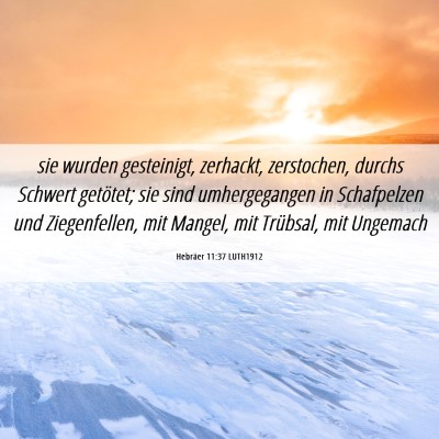 Picture 06 - Hebräer 11:37 LUTH1912 - sie wurden gesteinigt, zerhackt, zerstochen, - Bible Verse Picture
