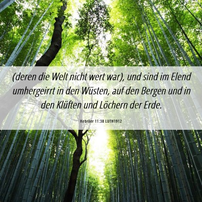 Picture 06 - Hebräer 11:38 LUTH1912 - (deren die Welt nicht wert war), und sind im - Bible Verse Picture