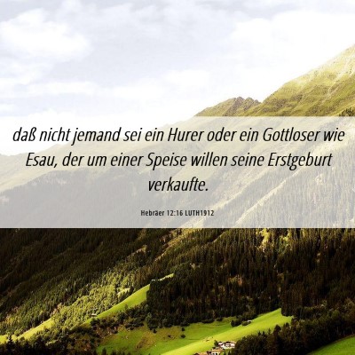 Picture 06 - Hebräer 12:16 LUTH1912 - daß nicht jemand sei ein Hurer oder ein - Bible Verse Picture