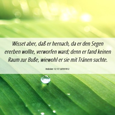 Picture 06 - Hebräer 12:17 LUTH1912 - Wisset aber, daß er hernach, da er den Segen - Bible Verse Picture