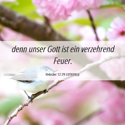 Picture 06 - Hebräer 12:29 LUTH1912 - denn unser Gott ist ein verzehrend - Bible Verse Picture