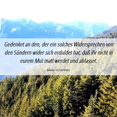 Picture 06 - Hebräer 12:3 LUTH1912 - Gedenket an den, der ein solches Widersprechen - Bible Verse Picture