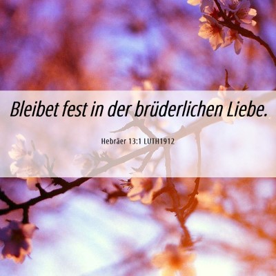 Picture 06 - Hebräer 13:1 LUTH1912 - Bleibet fest in der brüderlichen - Bible Verse Picture