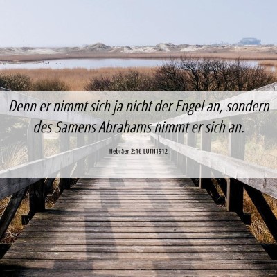 Picture 06 - Hebräer 2:16 LUTH1912 - Denn er nimmt sich ja nicht der Engel an, sondern - Bible Verse Picture