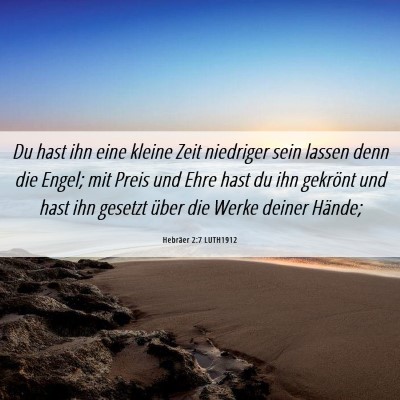Picture 06 - Hebräer 2:7 LUTH1912 - Du hast ihn eine kleine Zeit niedriger sein - Bible Verse Picture