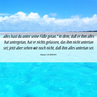 Picture 06 - Hebräer 2:8 LUTH1912 - alles hast du unter seine Füße getan.” In - Bible Verse Picture