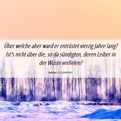 Picture 06 - Hebräer 3:17 LUTH1912 - Über welche aber ward er entrüstet vierzig - Bible Verse Picture