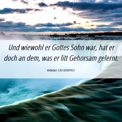 Picture 06 - Hebräer 5:8 LUTH1912 - Und wiewohl er Gottes Sohn war, hat er doch an - Bible Verse Picture