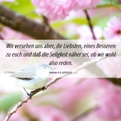 Picture 06 - Hebräer 6:9 LUTH1912 - Wir versehen uns aber, ihr Liebsten, eines - Bible Verse Picture