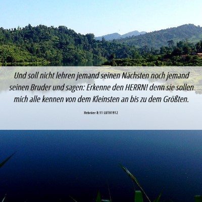 Picture 06 - Hebräer 8:11 LUTH1912 - Und soll nicht lehren jemand seinen Nächsten - Bible Verse Picture