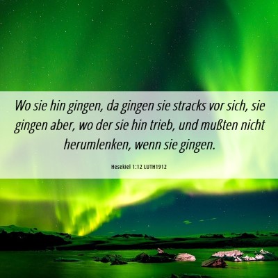 Picture 06 - Hesekiel 1:12 LUTH1912 - Wo sie hin gingen, da gingen sie stracks vor - Bible Verse Picture
