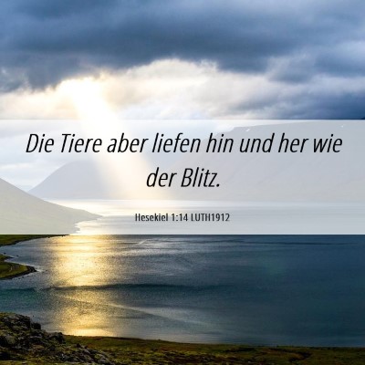 Picture 06 - Hesekiel 1:14 LUTH1912 - Die Tiere aber liefen hin und her wie der - Bible Verse Picture