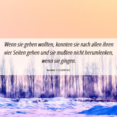 Picture 06 - Hesekiel 1:17 LUTH1912 - Wenn sie gehen wollten, konnten sie nach allen - Bible Verse Picture