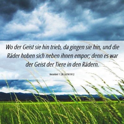 Picture 06 - Hesekiel 1:20 LUTH1912 - Wo der Geist sie hin trieb, da gingen sie hin, - Bible Verse Picture