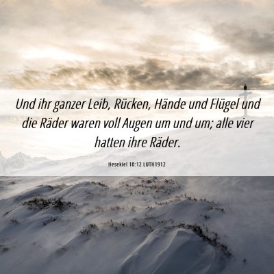 Picture 06 - Hesekiel 10:12 LUTH1912 - Und ihr ganzer Leib, Rücken, Hände und Flügel - Bible Verse Picture