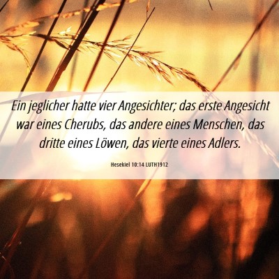 Picture 06 - Hesekiel 10:14 LUTH1912 - Ein jeglicher hatte vier Angesichter; das erste - Bible Verse Picture