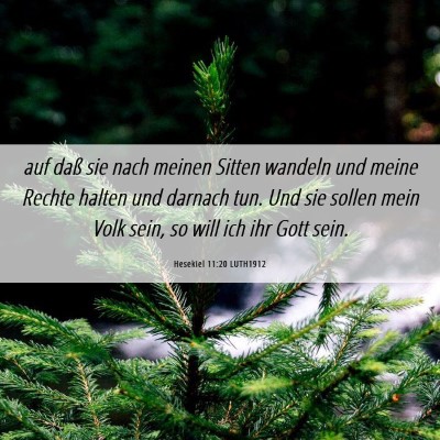 Picture 06 - Hesekiel 11:20 LUTH1912 - auf daß sie nach meinen Sitten wandeln und meine - Bible Verse Picture