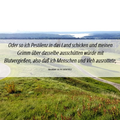 Picture 06 - Hesekiel 14:19 LUTH1912 - Oder so ich Pestilenz in das Land schicken und - Bible Verse Picture